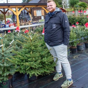 Smrek pichľavý (Picea pungens) – výška 80-100 cm, kont. C10L